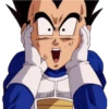 SON VEGETA 26