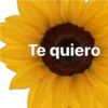 Te quiero