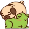 Pug cute 💛🧡 20