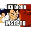 BIEN DICHO
INSECTO