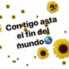 Contigo asta
el fin del
mundo