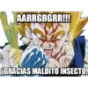 AARRGRGRR!
GGRACIAS MALDITO INSECTO!