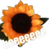 keeeeeee