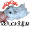 Hamsters  (Y&B) 28