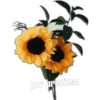 por preciosa