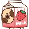MILK