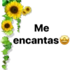 Me
encantas