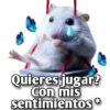 Hamsters  (Y&B) 29