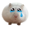 Hamsters  (Y&B) 30