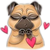 Pug cute 💛🧡 29