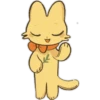 Gatos diferentes 24