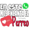 En este
NOS ENCANTA EL
Perreo
Soy Choogomila
100.k