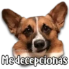 Perritos 5