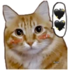Perritos y Gatitos 5