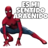 ES MI
SENTIDO
ARACNIDO