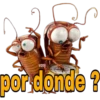 vony
por donde?