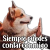 Perritos 8