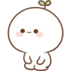 Cute planta 5 12