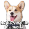 Perritos 9