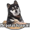 Perritos 10