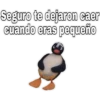 Seguro te dejaron caer
cuando eras pequeño