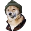 Perritos 13