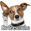 Perritos 14