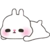 Baby Rabbit 15