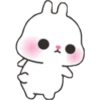 Baby Rabbit 16