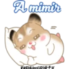 Pudding Hamster 2 17