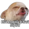 Perritos 17