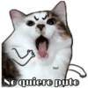 Perritos y Gatitos 7