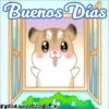 Pudding Hamster 2 18