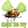 vony
mejor me voy