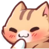 www