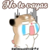 Pudding Hamster 2 21