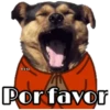 Perritos y Gatitos 10