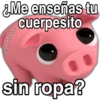 Cerdito Cute Toxico 17
