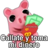 Cerdito Cute Toxico 18