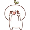 Cute planta 5 27