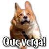 Perritos 20