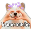 Perritos 21