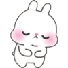Baby Rabbit 18