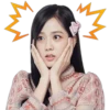 BLACKPINK 27