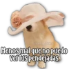 Perritos 22