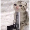 Вооружённый котёнок