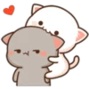 peach cat and boyfriend 17