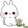 Baby Rabbit 19