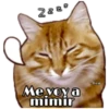 Perritos y Gatitos 14