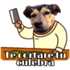 Perritos y Gatitos 15